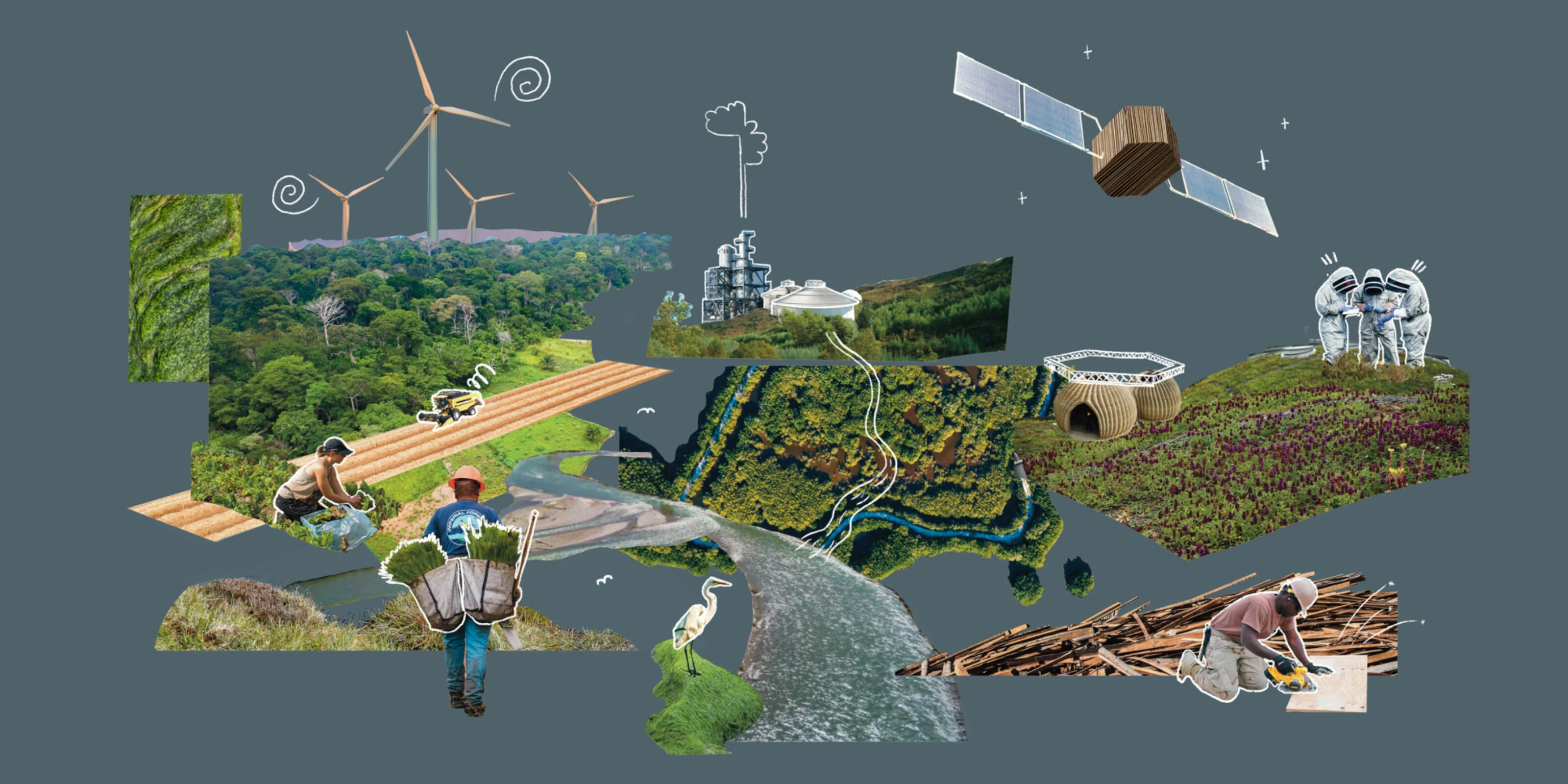 Welcome to the bio-age: How the bioeconomy can reshape the climate and nature transition