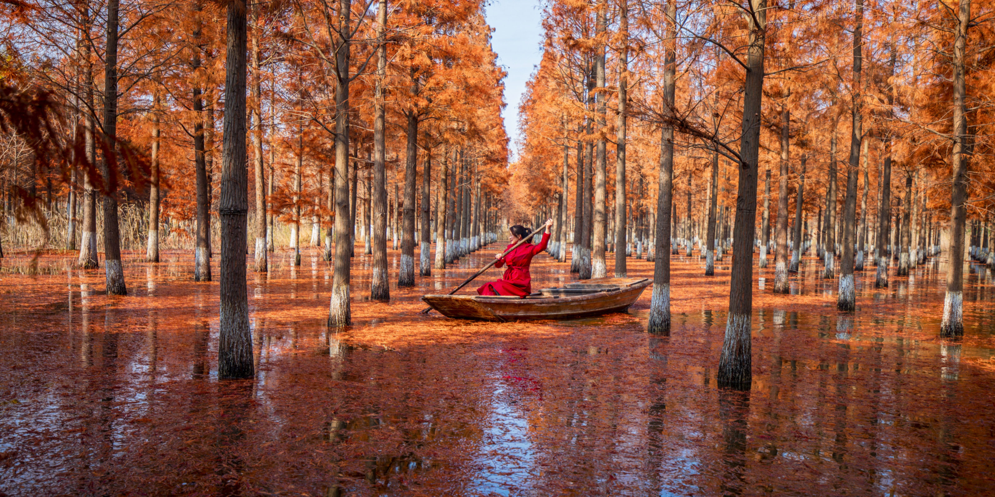 Building investor confidence in nature-based solutions