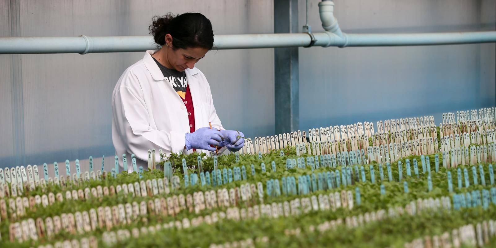 How forest bioeconomies can support nature-based solutions