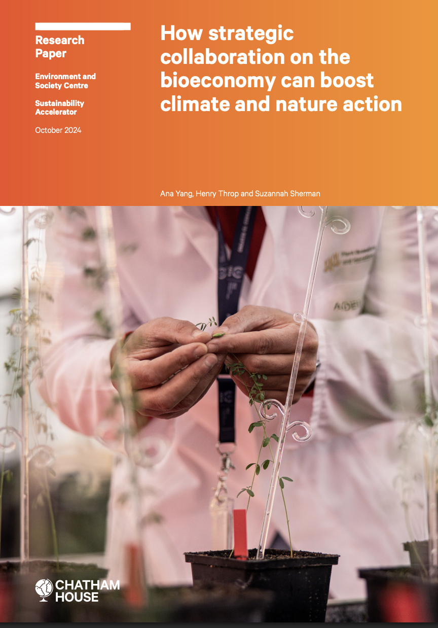 How strategic collaboration on the bioeconomy can boost climate and nature action