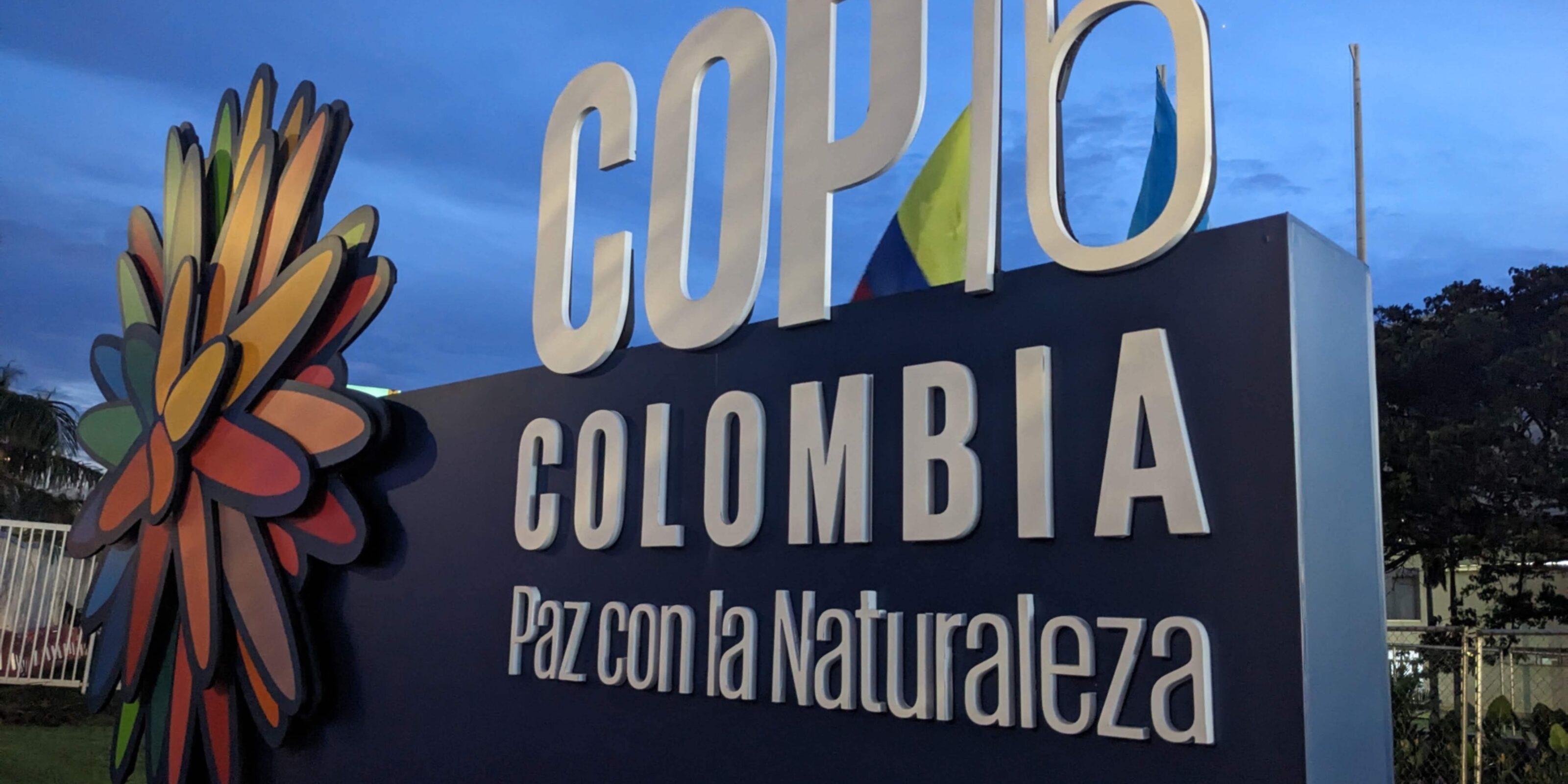 Conversations from Cali: A week at COP16